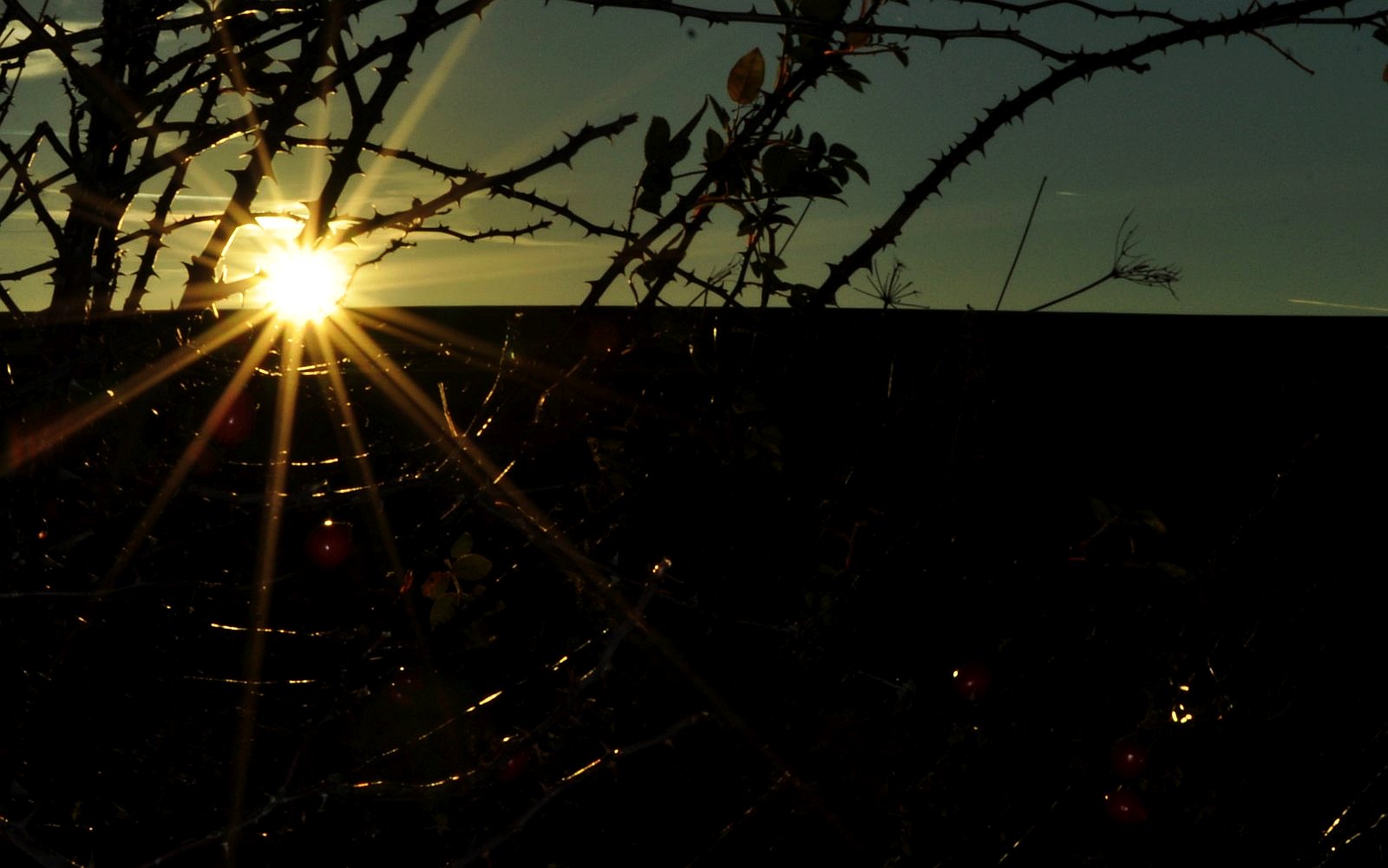 západ slunce, trní, horizont / foto IMA