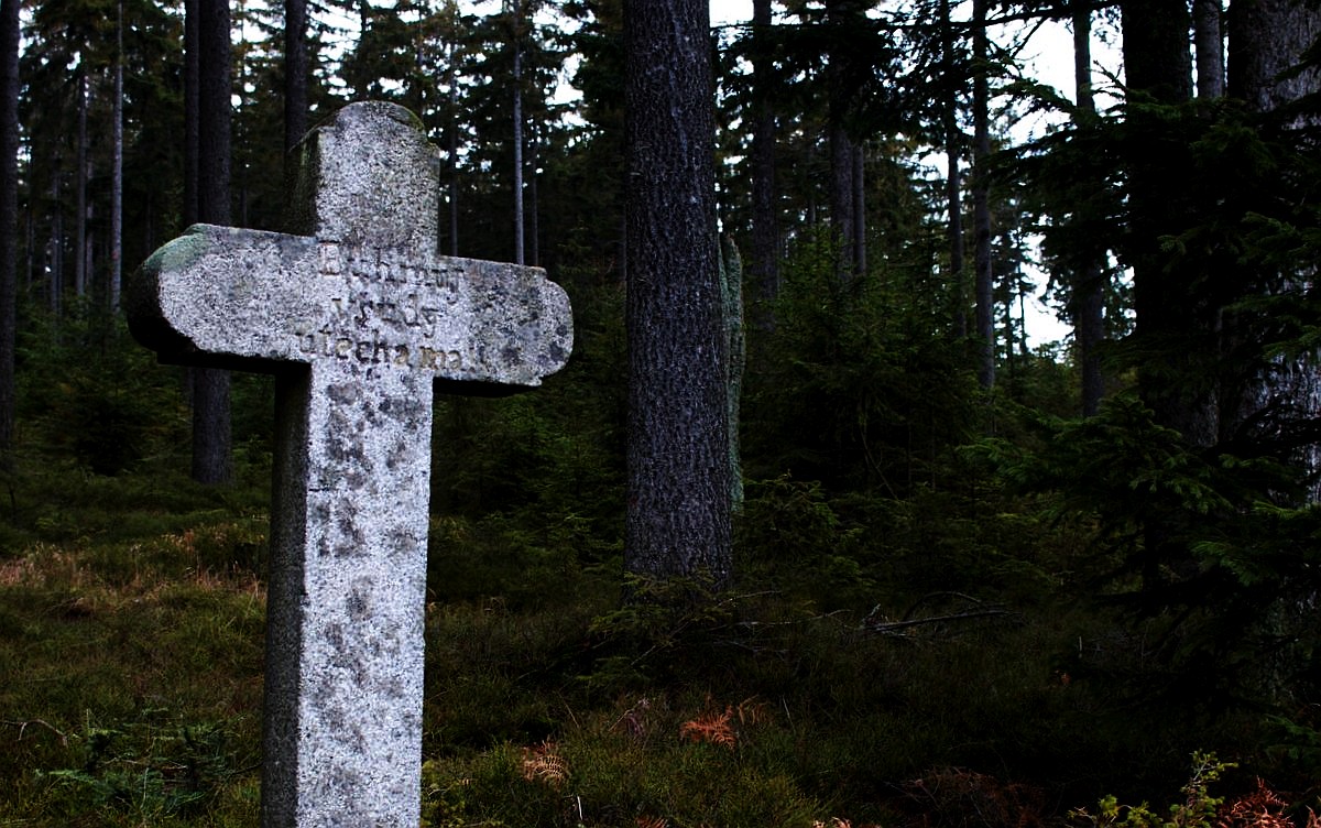 kamenný kříž v lese, nápis: Bůh můj všudy útěcha má / foto Michal Němeček